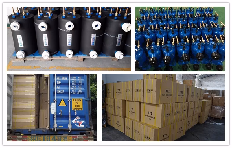 Special Custom-Made Designs Titanium Heat Exchanger Pool, Water Cooler Heater