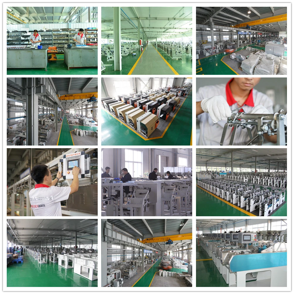 Automatic Rice Noodle Packaging Machine with Two Weighing Machines