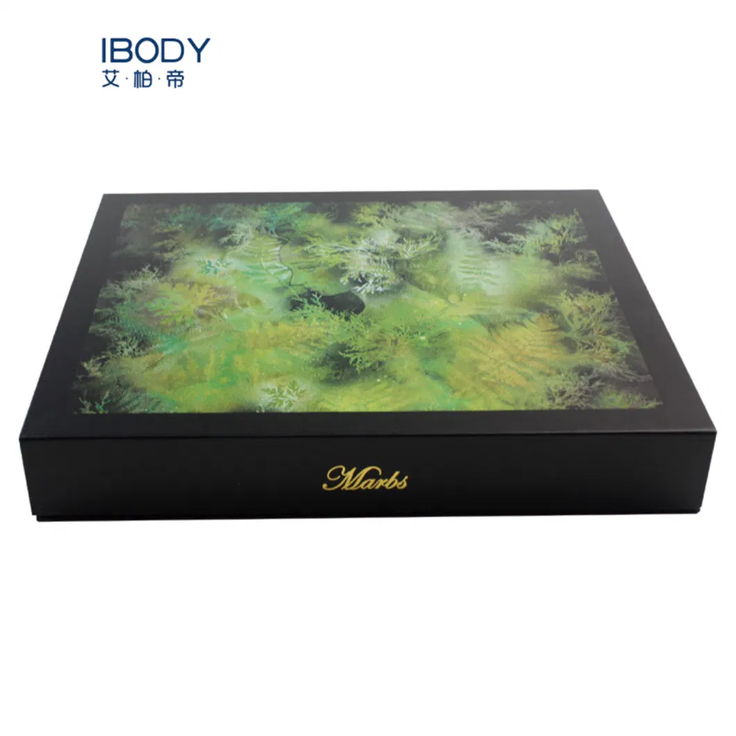 Luxury Black Square Book Shaped Magnetic Packaging Box with Gold Foil Logo