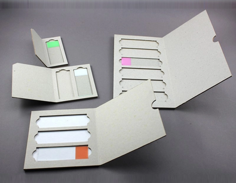 Rongtai Double Slide Mailer Manufacturers Cardboard Microscope Slide Mailers China Lab PP Material Plastic Mailers