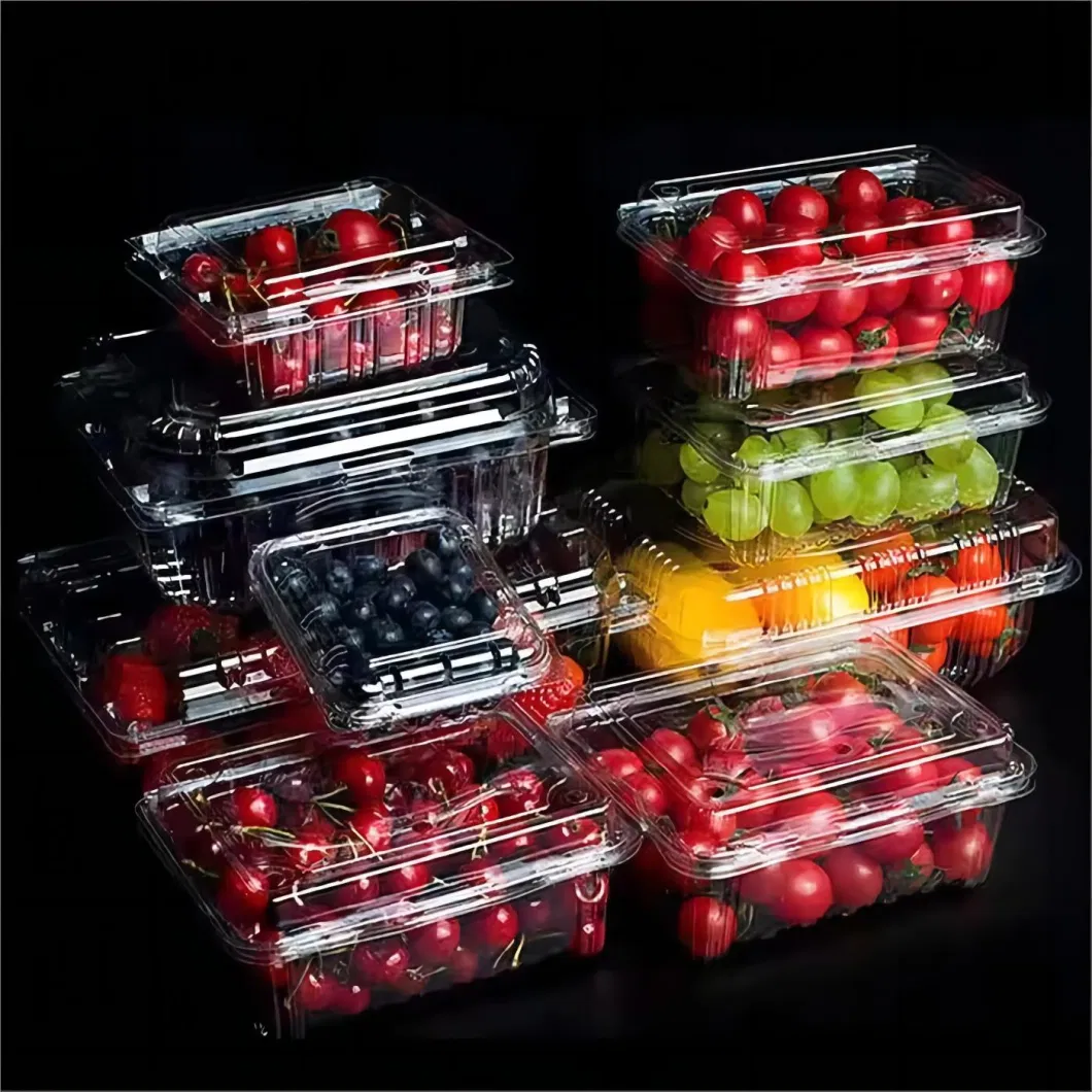 Breathable and Ventilated Transparent PET Blister Plastic Hinged Clamshell Box for Fruit, Strawberry, Blueberry, Tomato, Salad, Cake Packing