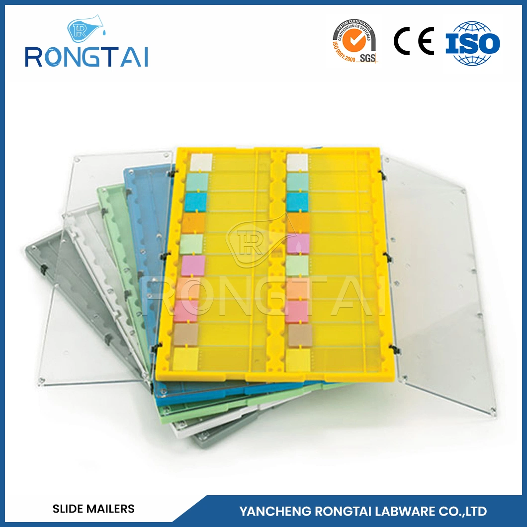 Rongtai Double Slide Mailer Manufacturers Cardboard Microscope Slide Mailers China Lab PP Material Plastic Mailers