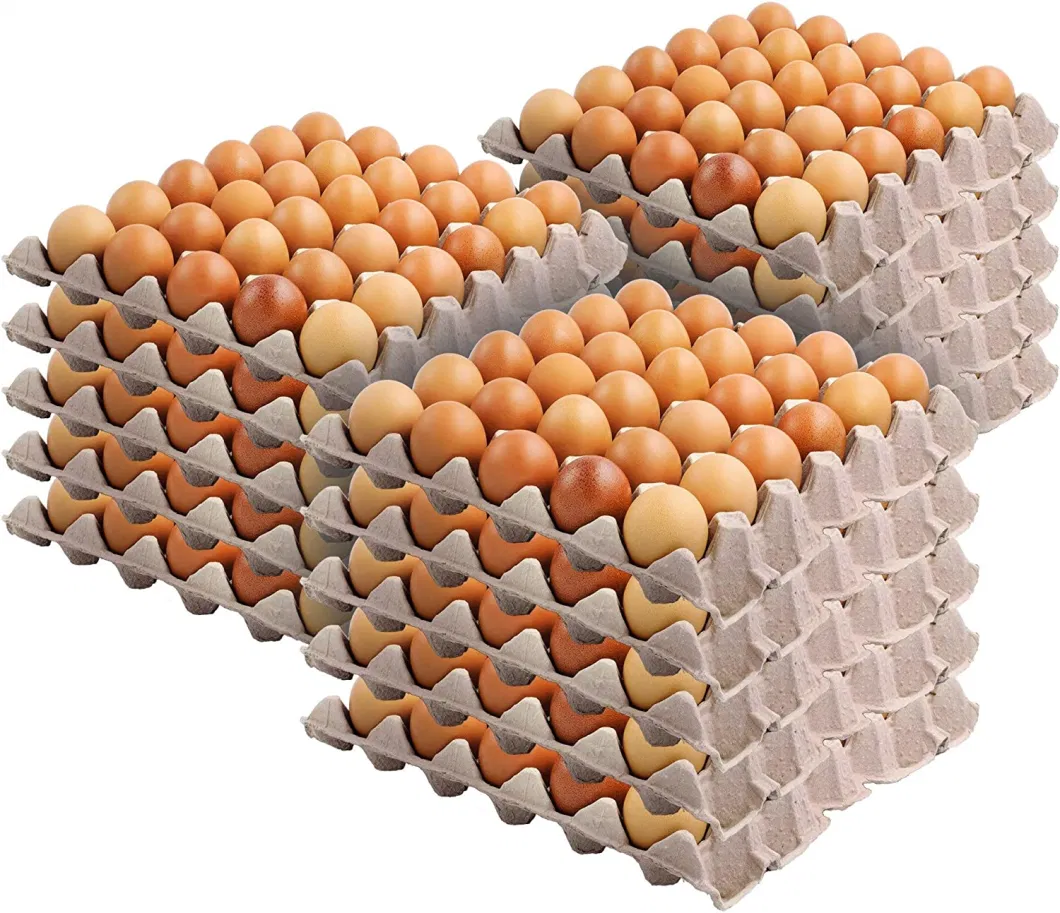 30-Cell Egg Crates, Blank Pulp Fiber Egg Flats, Stackable Cardboard Egg Cartons Bulk for Storing up to 30 Small to Large Chicken Eggs