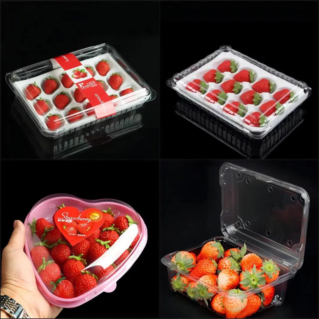 Breathable and Ventilated Transparent PET Blister Plastic Hinged Clamshell Box for Fruit, Strawberry, Blueberry, Tomato, Salad, Cake Packing