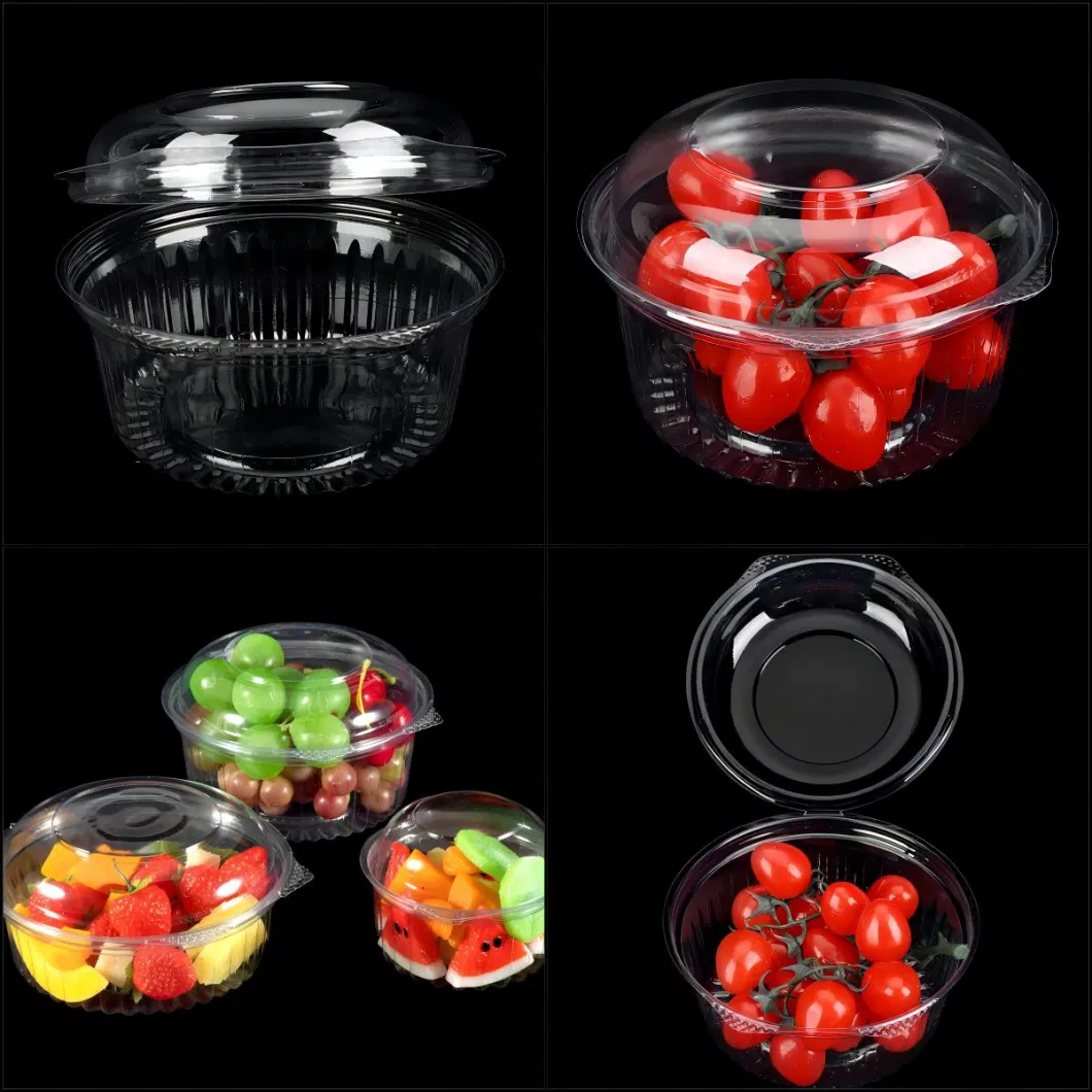 Breathable and Ventilated Transparent PET Blister Plastic Hinged Clamshell Box for Fruit, Strawberry, Blueberry, Tomato, Salad, Cake Packing