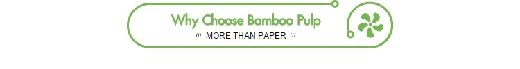 Wholesale Price Cheap Ultra Soft and Eco Friendly Toilet Paper 400 Sheets Bamboo Toilet Tissue Paper Roll Factory