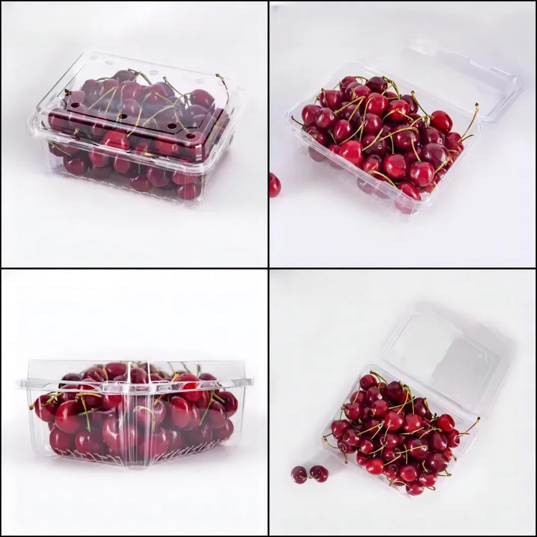 Breathable and Ventilated Transparent PET Blister Plastic Hinged Clamshell Box for Fruit, Strawberry, Blueberry, Tomato, Salad, Cake Packing