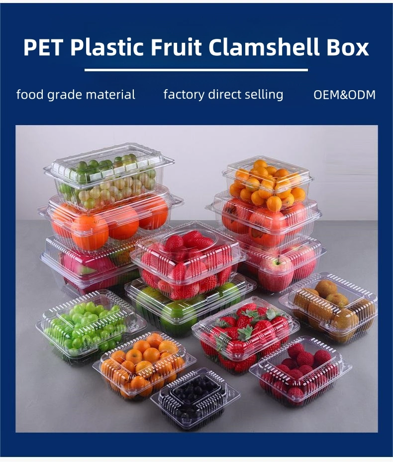 Breathable and Ventilated Transparent PET Blister Plastic Hinged Clamshell Box for Fruit, Strawberry, Blueberry, Tomato, Salad, Cake Packing