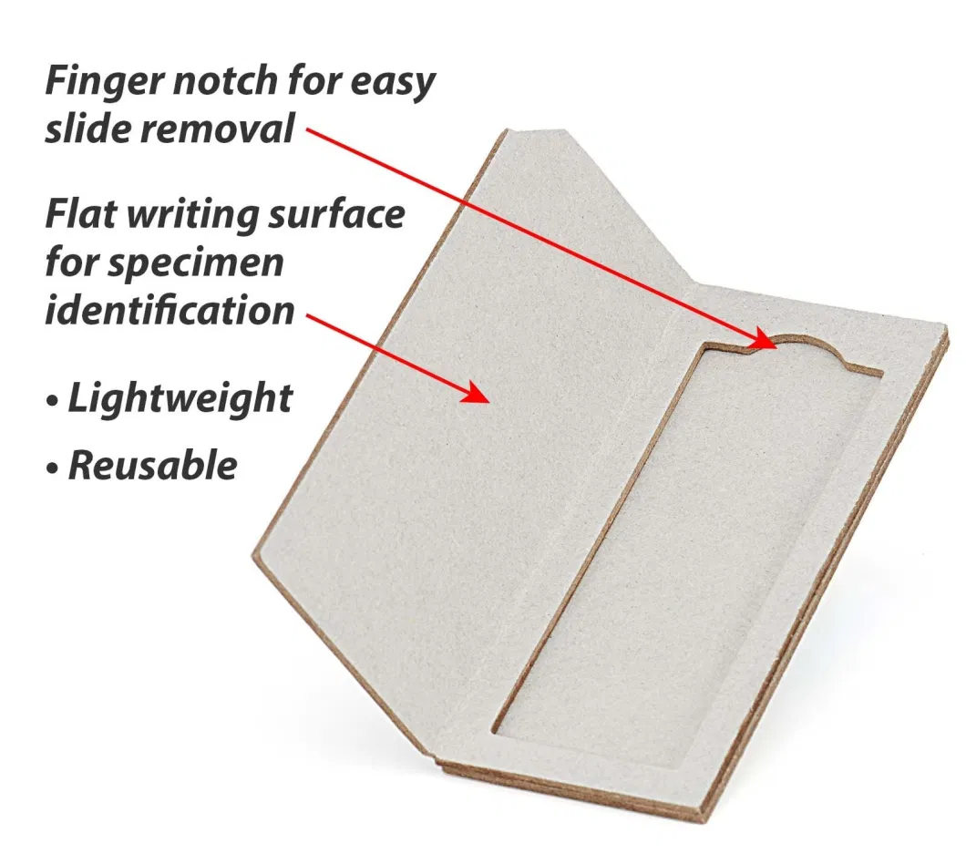 Rongtai Double Slide Mailer Manufacturers Cardboard Microscope Slide Mailers China Lab PP Material Plastic Mailers