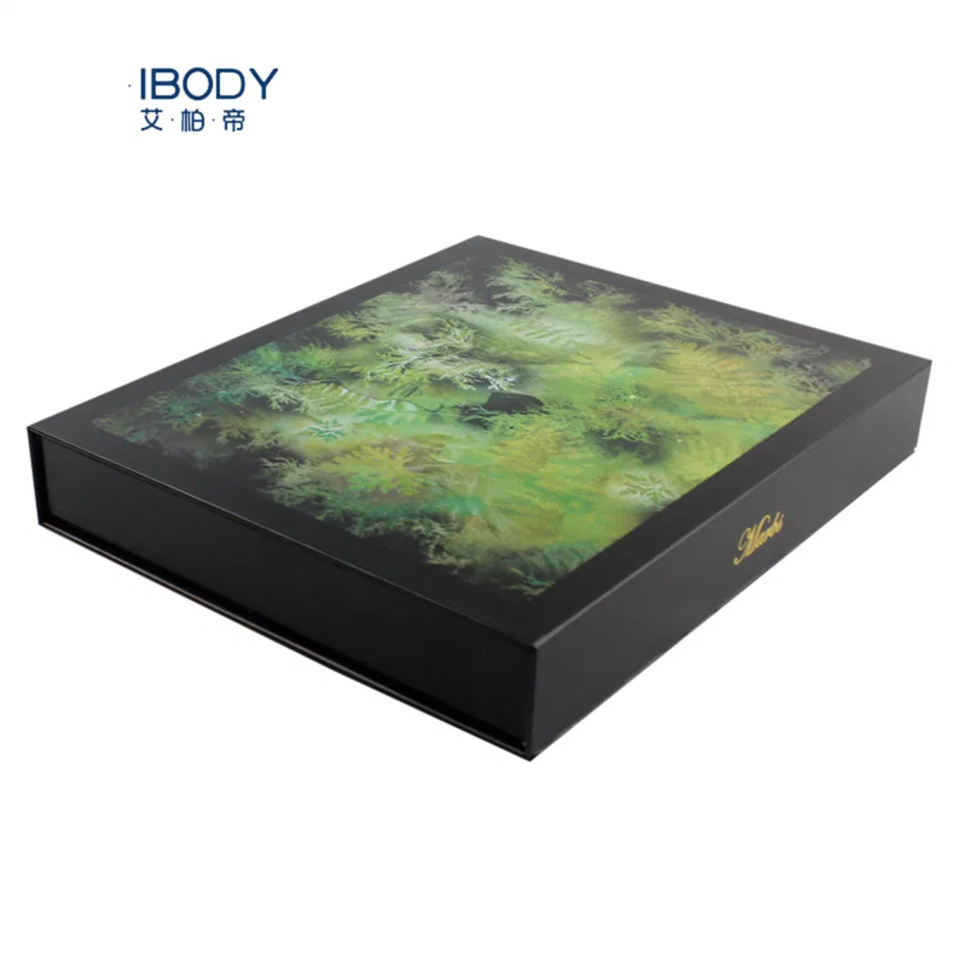 Luxury Black Square Book Shaped Magnetic Packaging Box with Gold Foil Logo