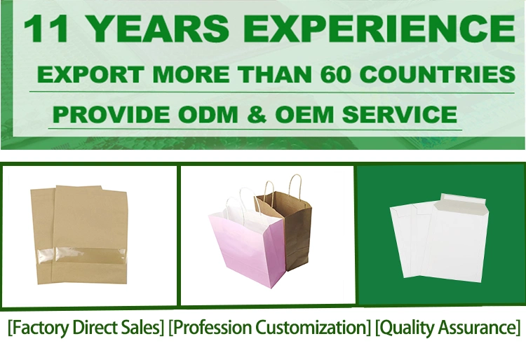 110 X 220mm 90GSM Self Seal White Wallet Cardboard Envelope for Packaging