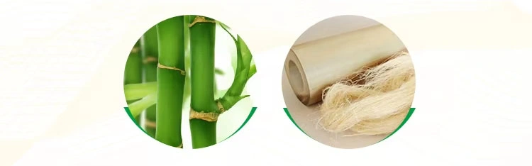 Custom Raw Wood Pulp Toilet Paper Roll Hotel Toilet Retail Standard Ecological 2/3/4 Ply Paper Roll