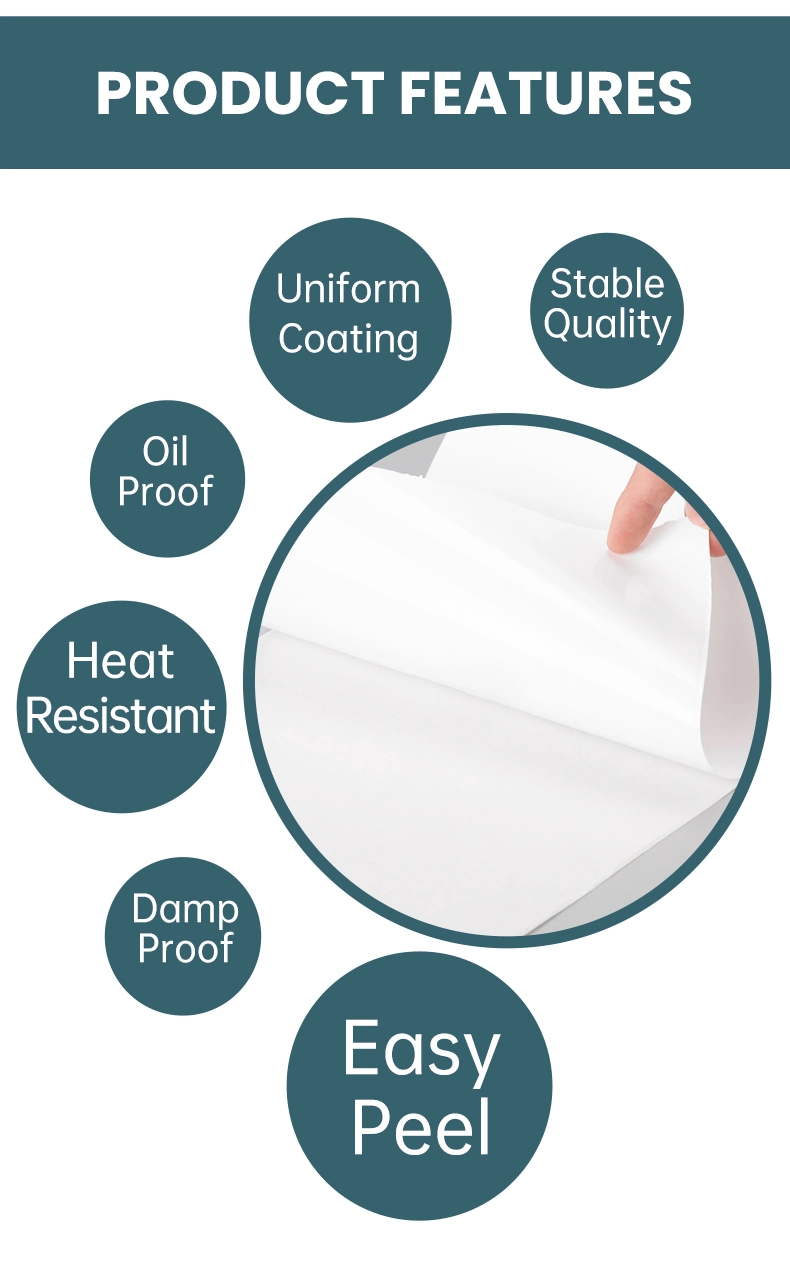 Label Manufacturer Wholesale High Temperature Resistant Pet Film Label Material Jumbo Roll in Width 1550 &amp; 1090mm