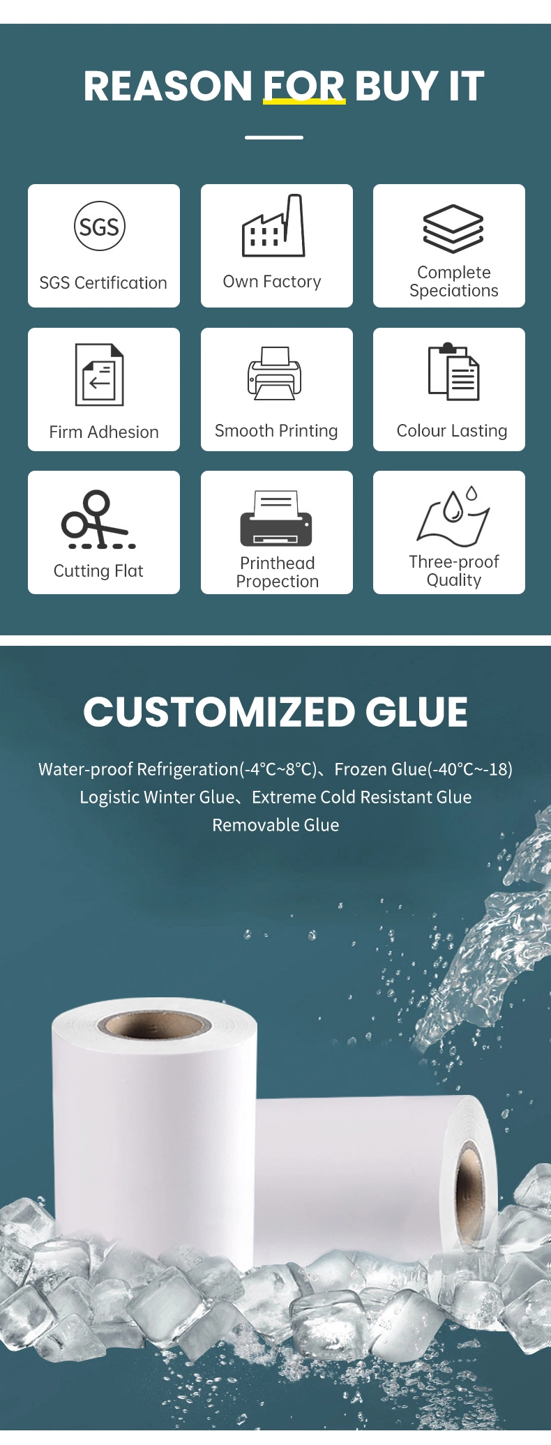 Label Manufacturer Wholesale High Temperature Resistant Pet Film Label Material Jumbo Roll in Width 1550 &amp; 1090mm