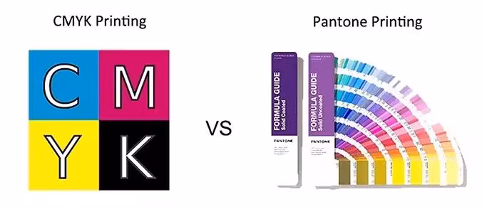 Custom Biscuit Cake Baking Muffin Cup Cake Food Packaging Box Container with Window