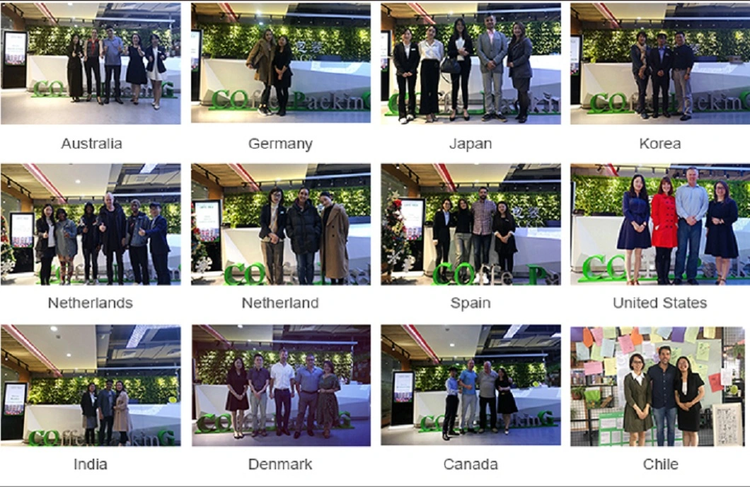 Wholesale Full Printing Corrugated Kraft Packaging Postal Blue Box with Insert