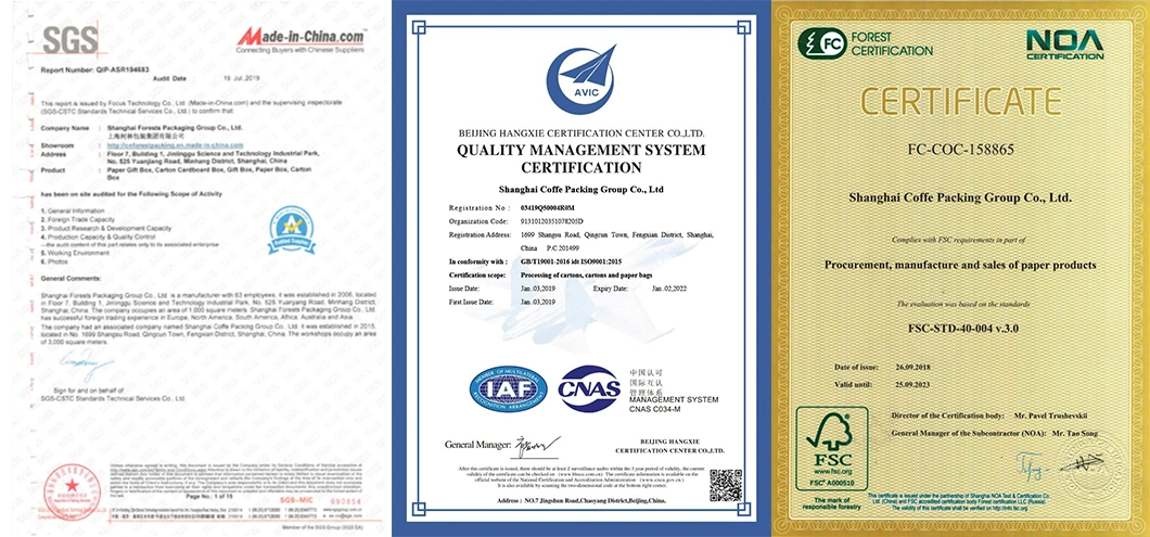 Wholesale Full Printing Corrugated Kraft Packaging Postal Blue Box with Insert