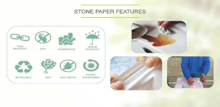 China Manufcturer Stone Paper Ecological Papers and Films