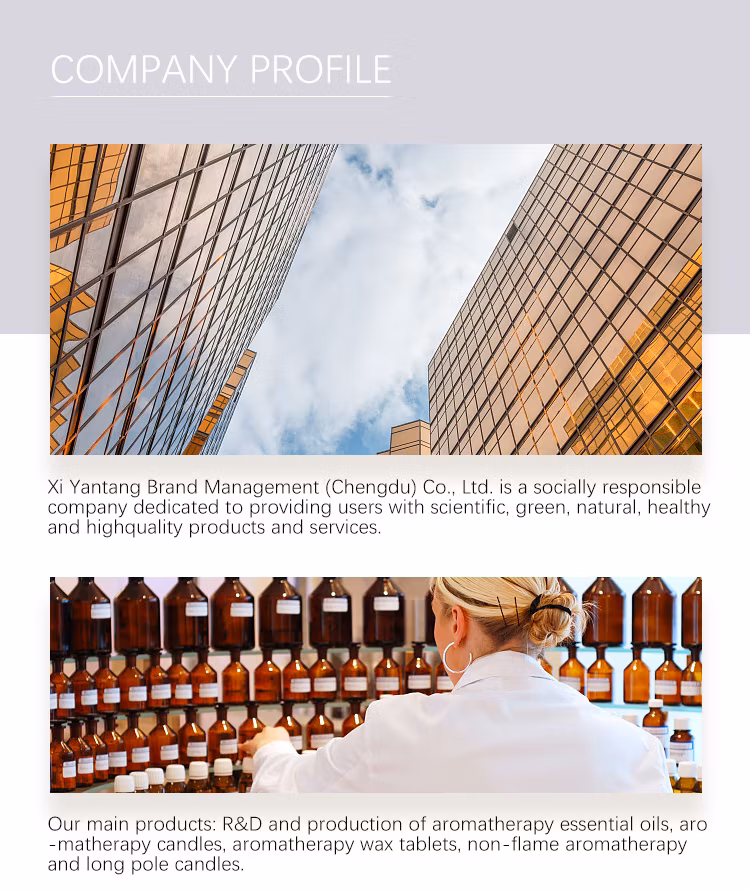 Wholesale Soy Wax Christmas Aromatherapy Candle Tea Colored Glass Cups Eco-Friendly Candles