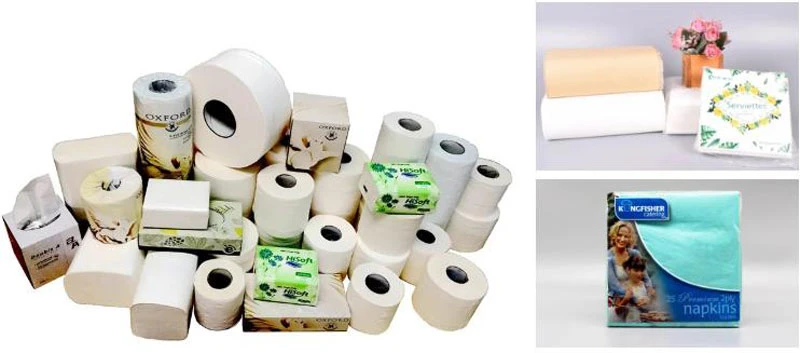 Recycle Ecological Tissue Eco-Friendly Toilet Paper Roll with ISO FSC