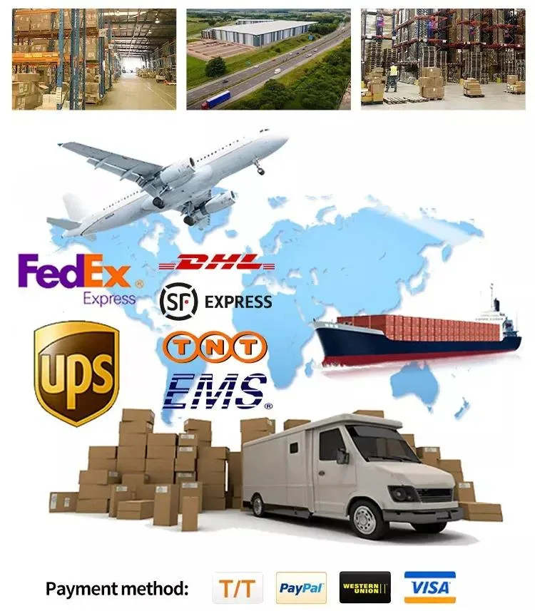 Etiquetas Personalizada Gym Botellas De Aluminio De Agua Deportivas PARA Bebidas Bottle