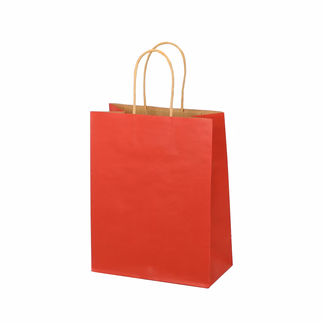 Eco Friendly Customized Logo Luxury Shopping Gift Wrapping Paper Bag