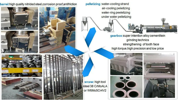 PP PE EVA PVC +Cacao3 Additives Plastic Filler Masterbatch Compound Making Machine