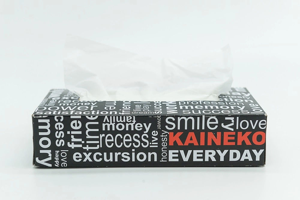 Factory Wholesale Customized Creative Boxed Facial Tissue Paper