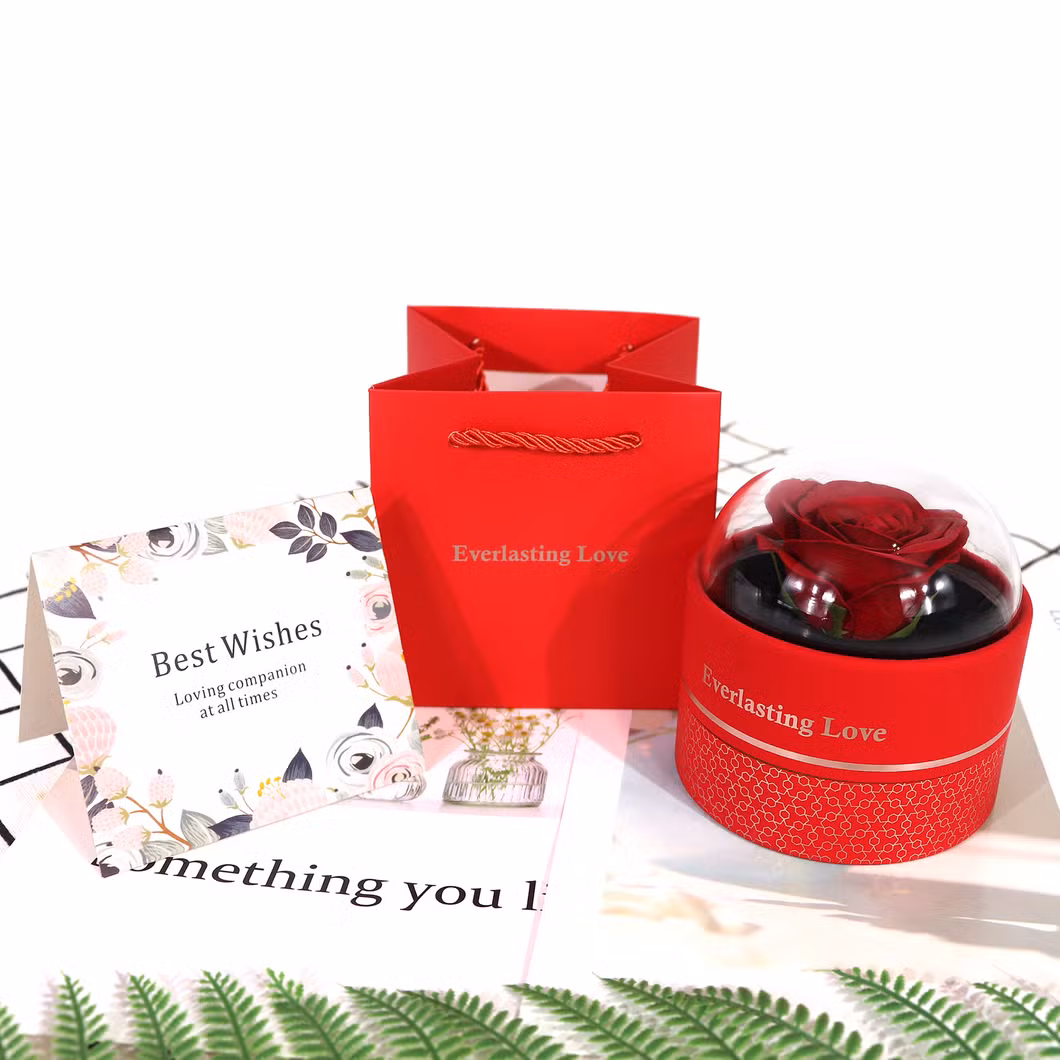 Clear Lid Small Cylinder Women&prime;s Fancy Gift Box