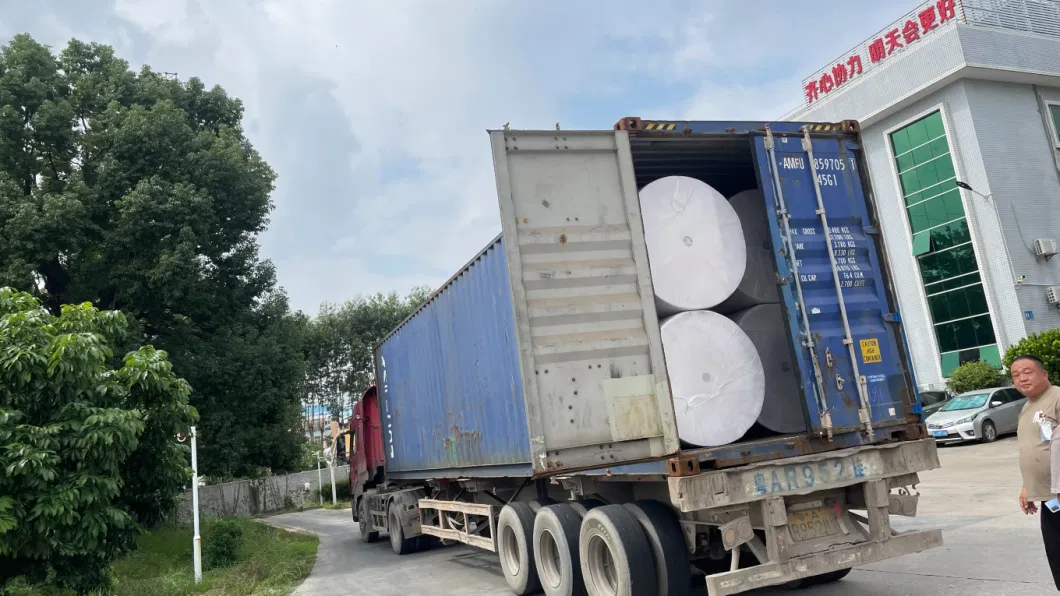 Factory Making Jumbo Mother Roll Life Tissue Raw Material Large Paper Roll