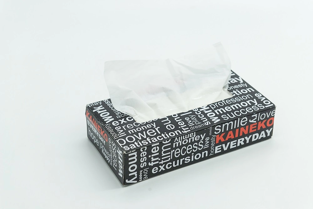 Factory Wholesale Customized Creative Boxed Facial Tissue Paper