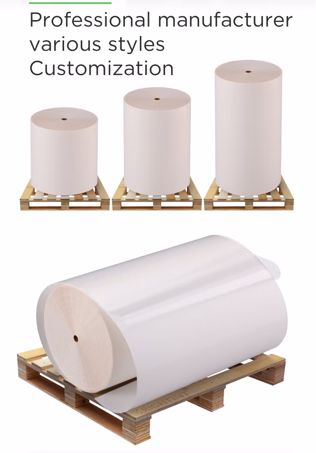 blank clear sticker paper Rightint Carton BOPP roll label supplies