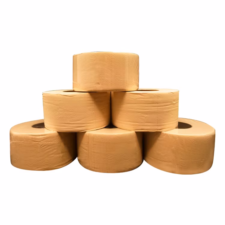 2-4 Ply 100% Bamboo Pulp Toilet Tissue Roll Biodegradable Bamboo Toilet Paper