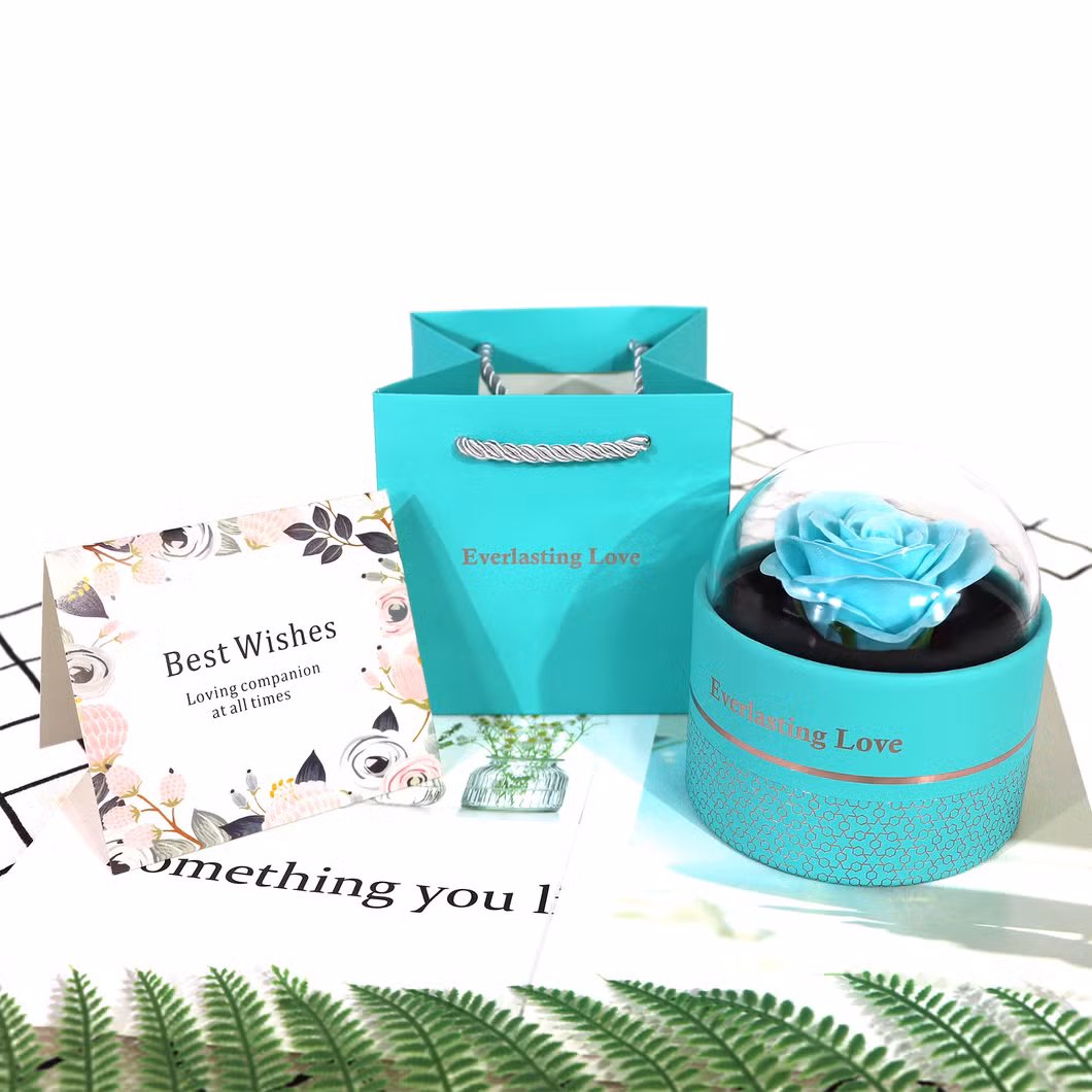 Clear Lid Small Cylinder Women&prime;s Fancy Gift Box