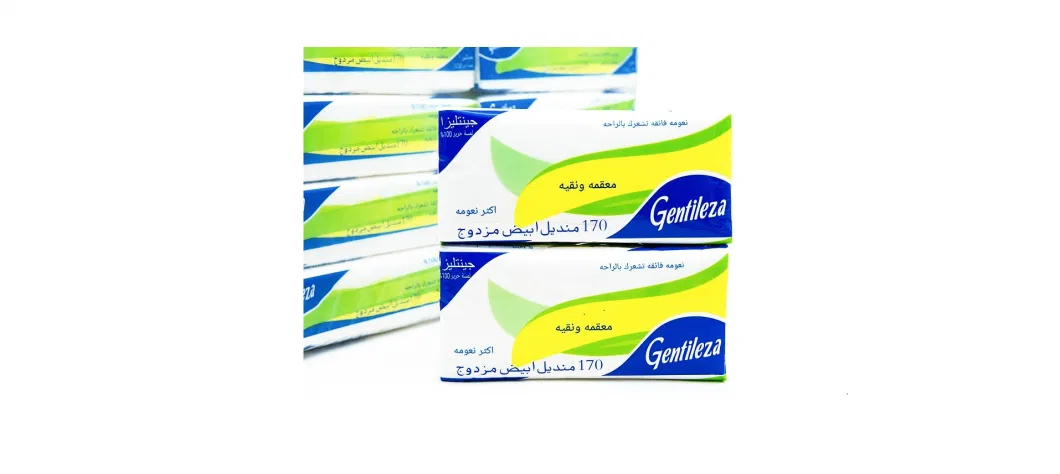 Wholesale of 18/24 Packs of Large Packaging Tissue Paper