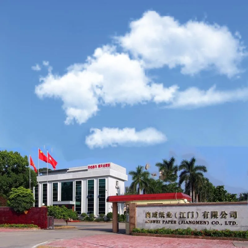 Factory Making Jumbo Mother Roll Life Tissue Raw Material Large Paper Roll