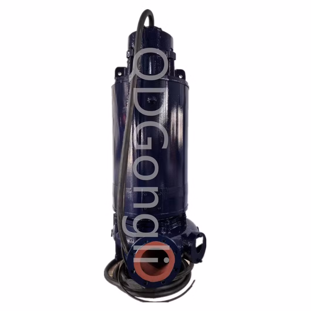 Vertical Wet Dry Dual-Purpose Spiral Centrifugal Impeller Pump