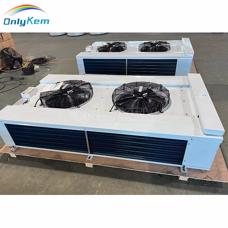 Walk in Cooler Cold Rooms/Freezer/Chiller/Cool/Cold Storage Room Price