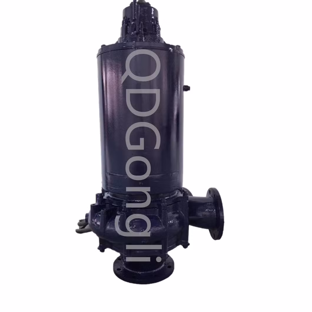 Vertical Wet Dry Dual-Purpose Spiral Centrifugal Impeller Pump