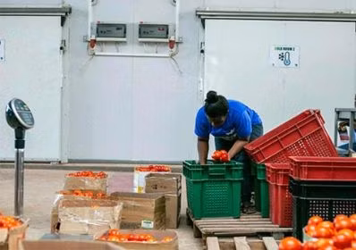 Cold Storage Prefabricated Food Cold Storage for Fresh Vegetables and Fruits
