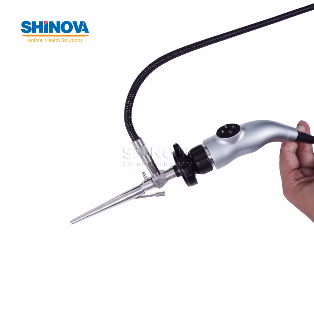 Digital HD Veterinaryotoscope for Veterinary (EndoBox-EarView)
