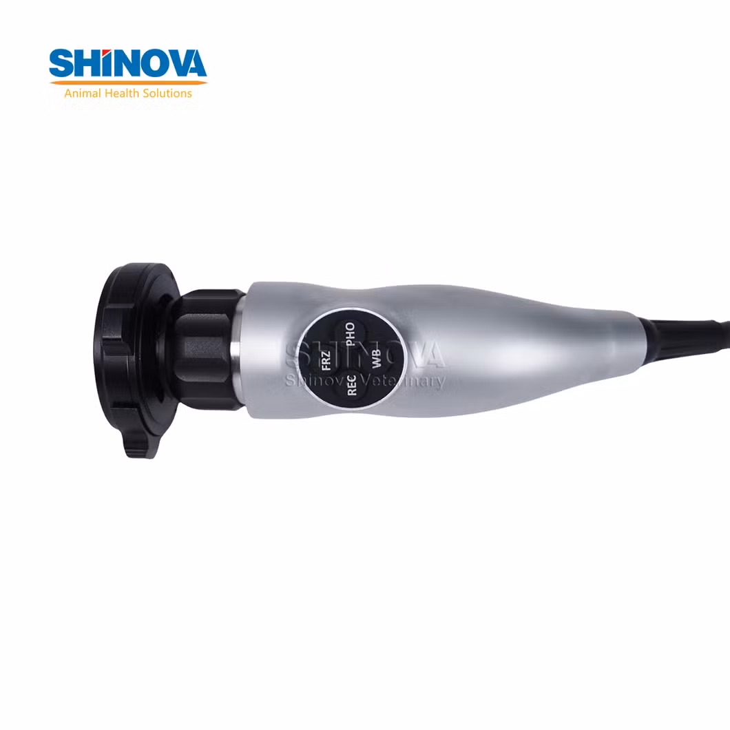 Digital HD Veterinaryotoscope for Veterinary (EndoBox-EarView)