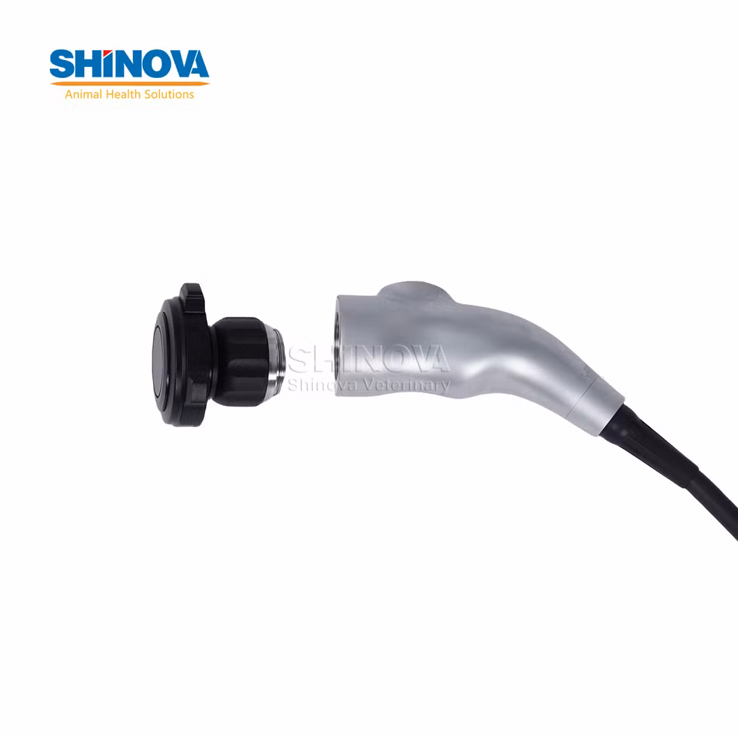 Digital HD Veterinaryotoscope for Veterinary (EndoBox-EarView)