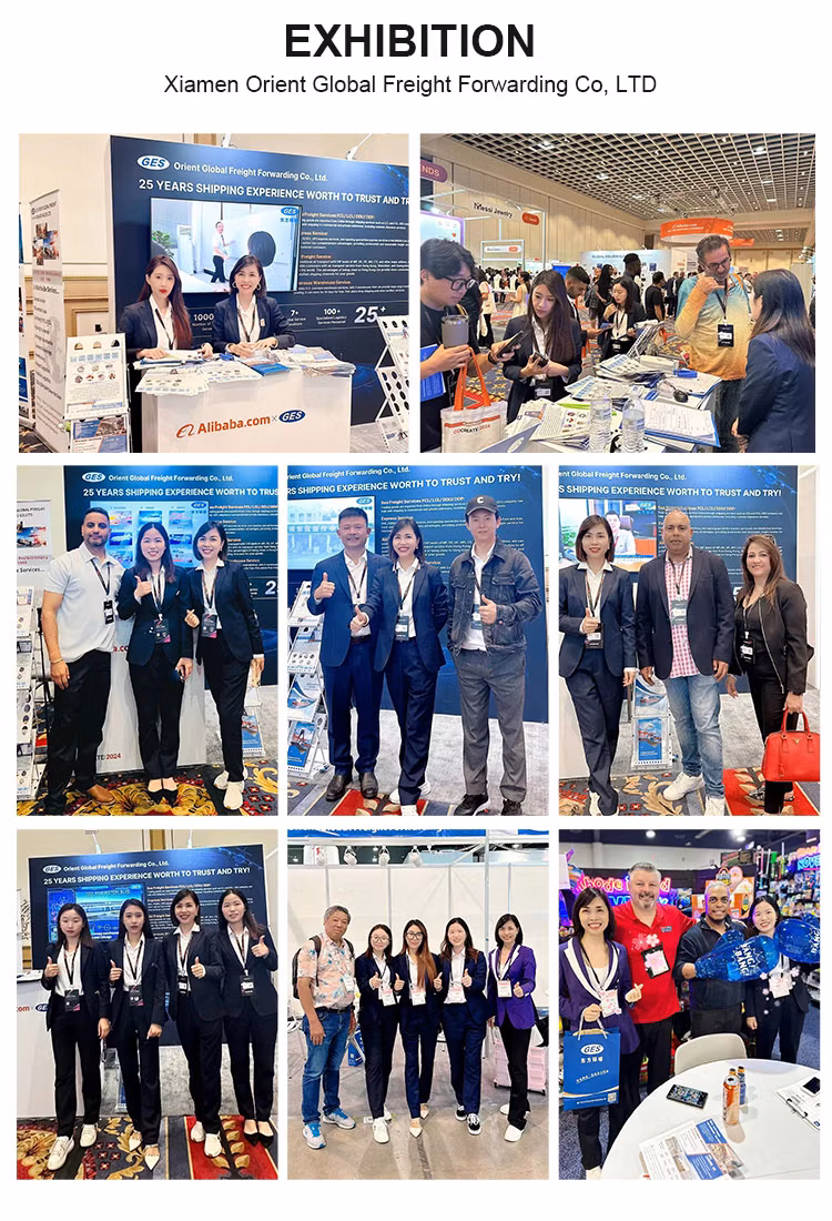 Provide Comprehensive Logistics Solutions From China to Italy