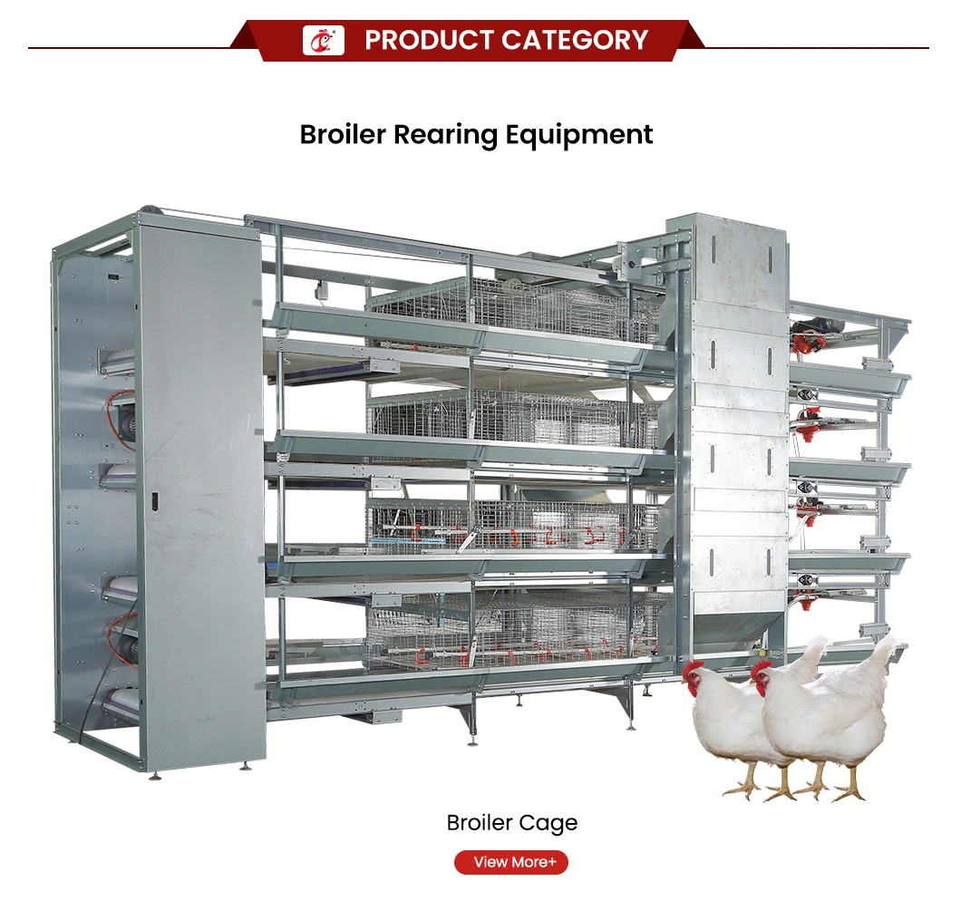 Bestchickencage Broiler Deep Litter System Free Sample China Regulating Stability Poultry Farming Broiler Deep Litter System Manufacturing