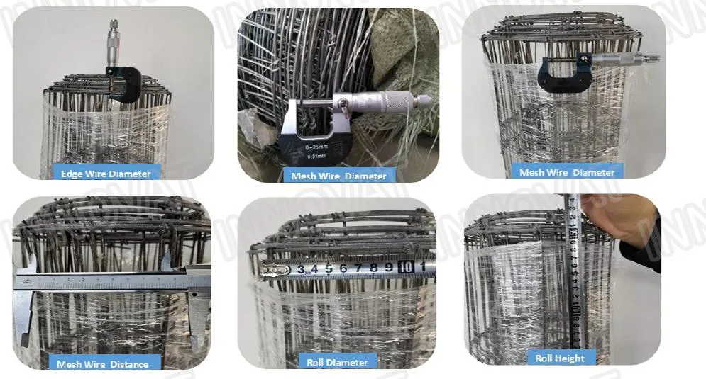 Galvanized Horse / Sheep Wire Cheap Cattle / Field Fencing Livestock Wire Grassland Fence