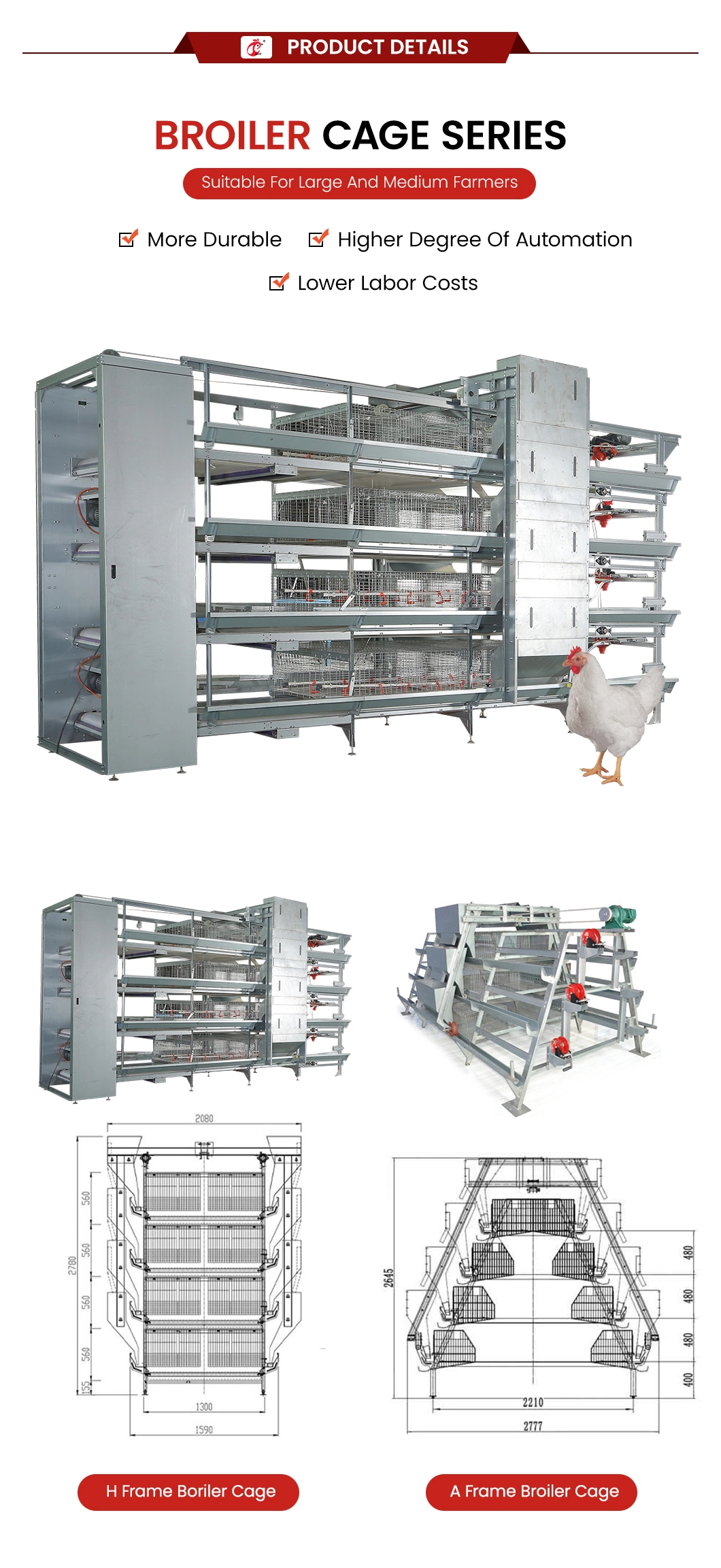 Bestchickencage Broiler Deep Litter System Free Sample China Silver White Good Litter for Healthy Birds Manufacturing