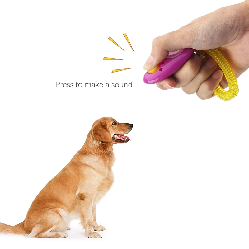 Dog Products Pet Trainer Sound Chip Pet Sound Trainer Dog Sound Chip