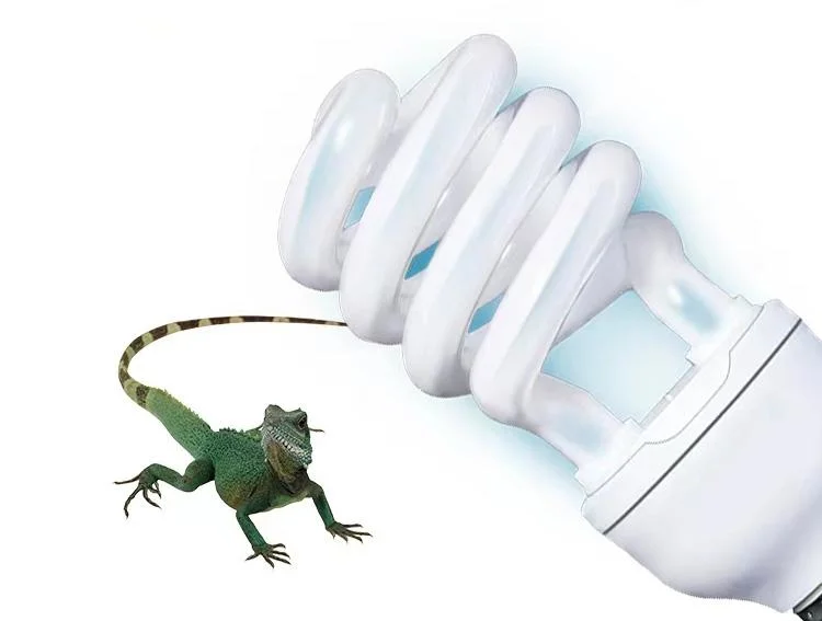 New Style Climbing Pet Hedgehog, Tortoise, Lizard Sun Back Lamp, UVB Bulb, Calcium Supplement, Tortoise, Chameleon, Fleshy Reptile Lamp