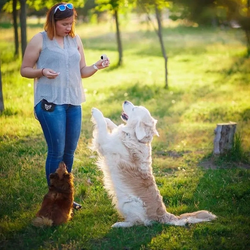 Dog Training Clickers Dog Clicker for Training Bad Behavior Interactive Training Tools for Cat Dog Horse to Train Stop Barking